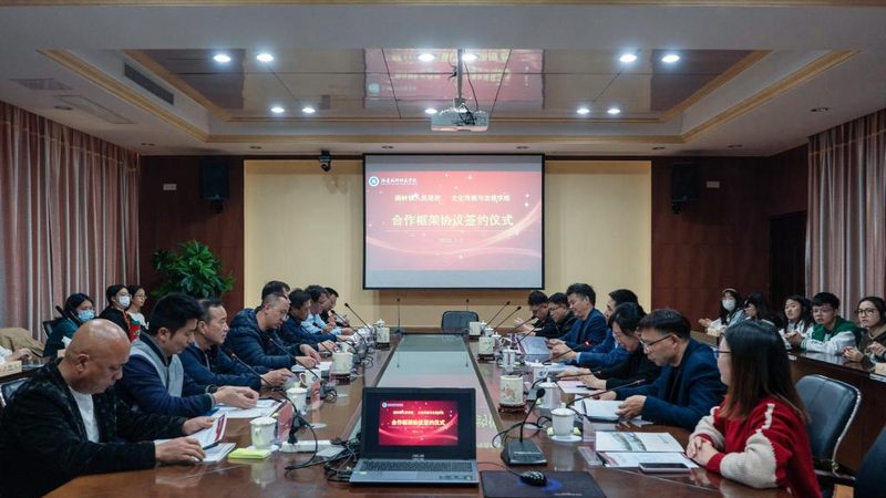 碳纤维短视频三脚架报价