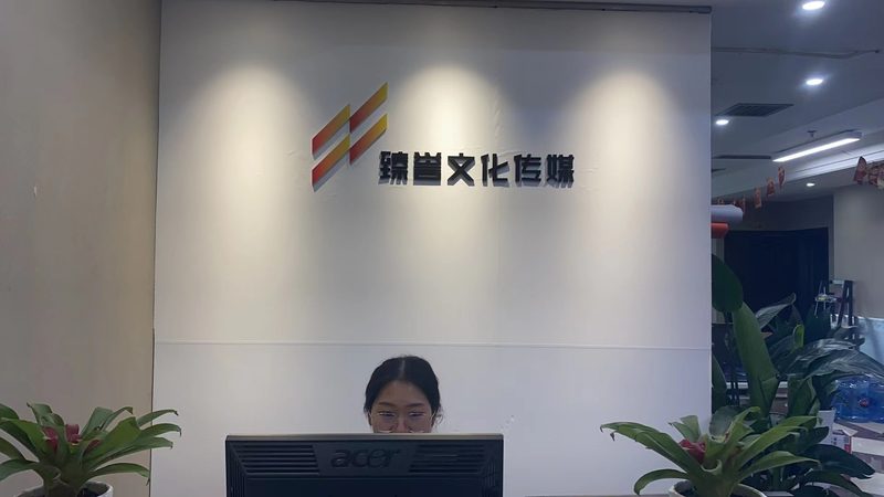 目前，抖音媒介投放服务商主要分为以下几类：